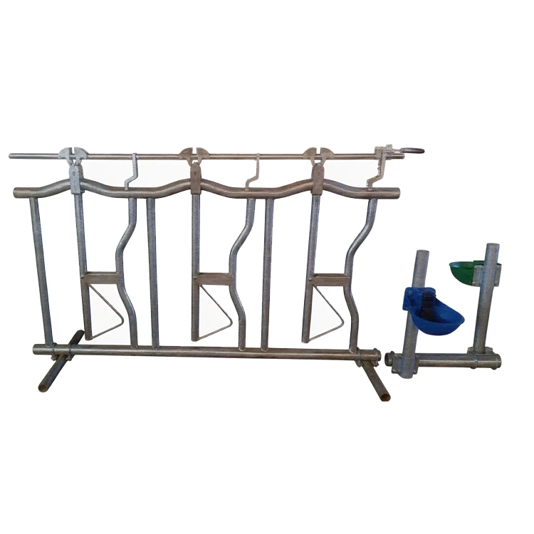 Cattle Head Stanchion